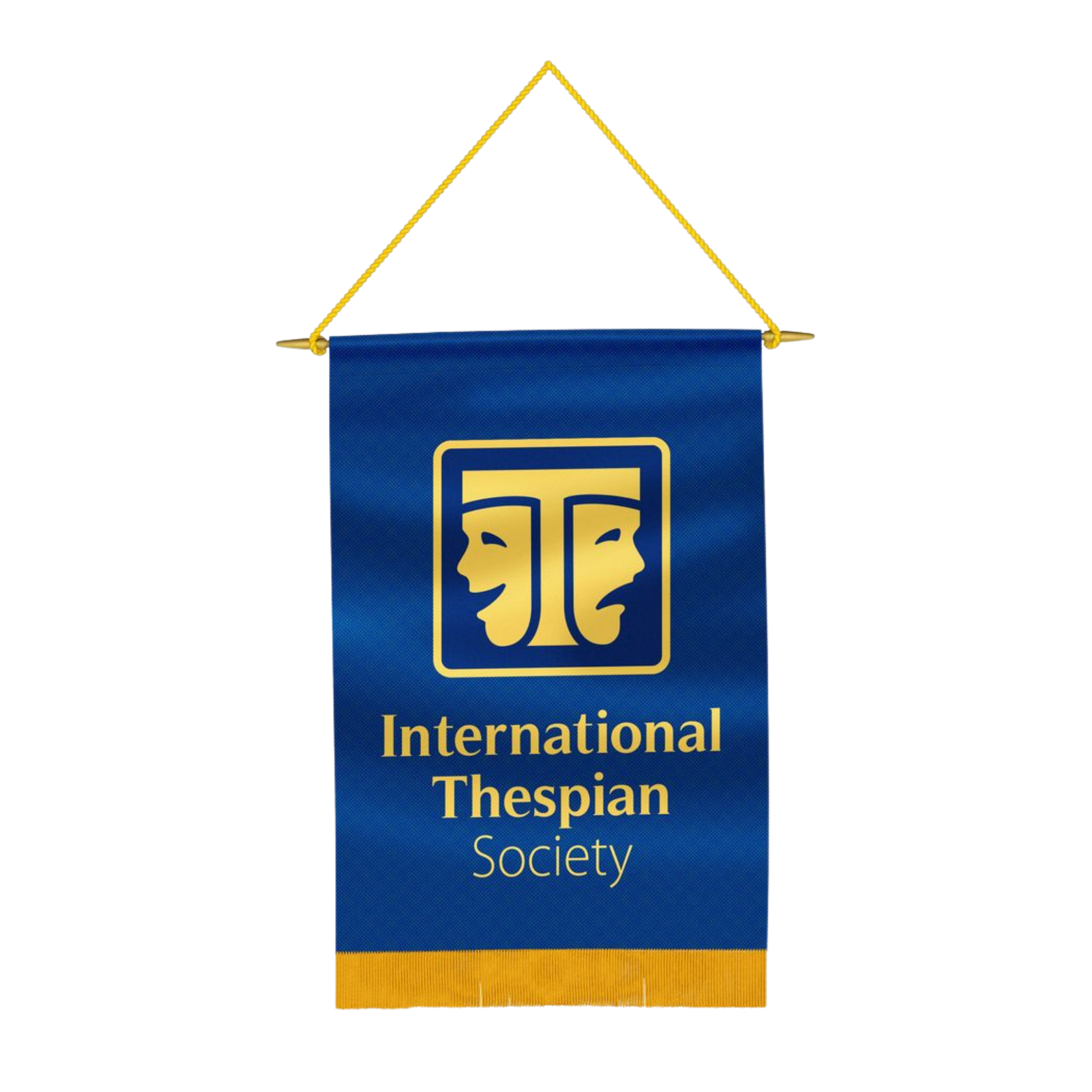 ITS Banner