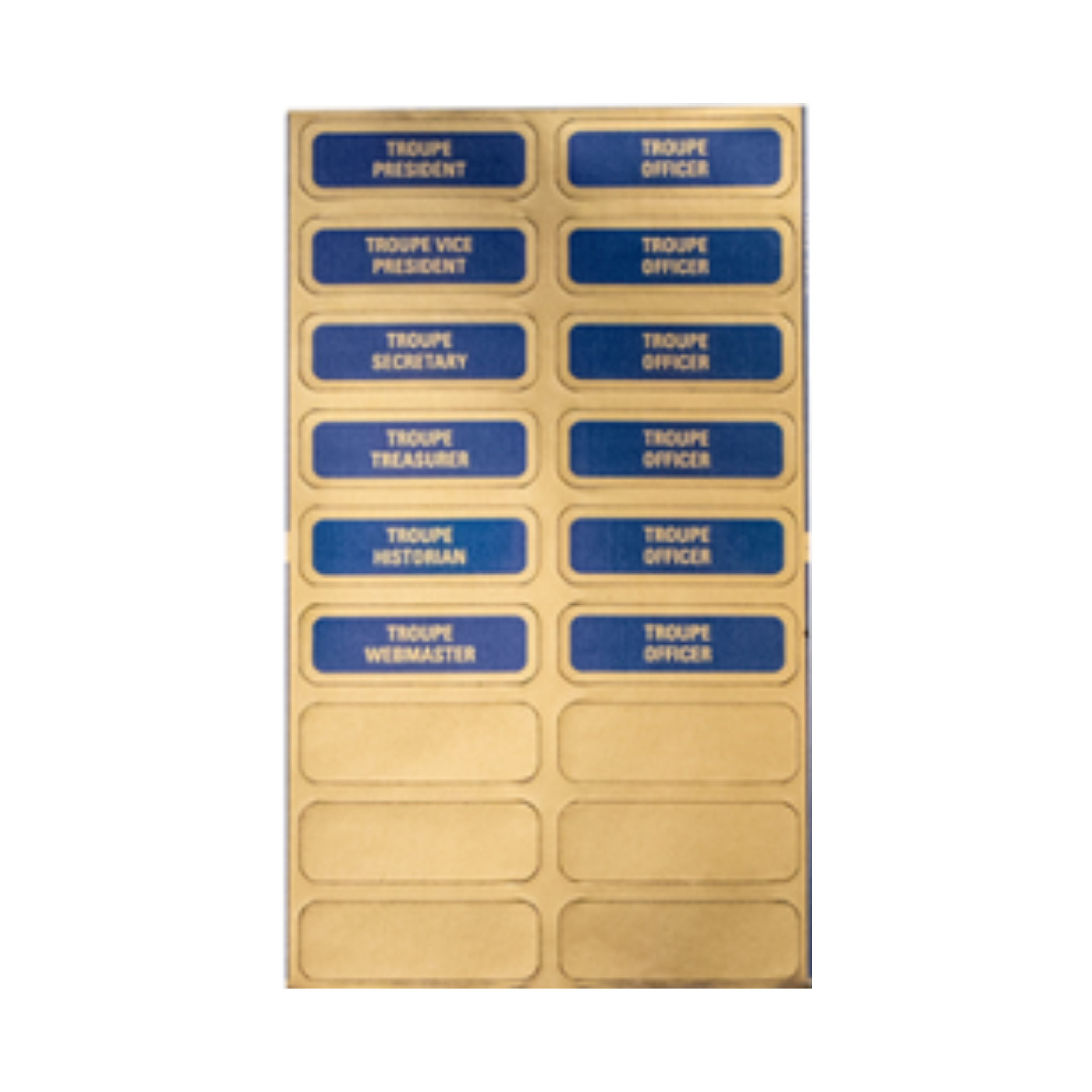 Thespian Officer Sticker Set of 12